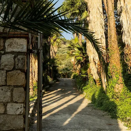 Bed & Breakfast Robi 3*